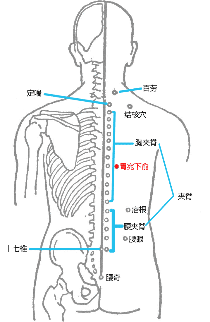 胃脘下俞穴