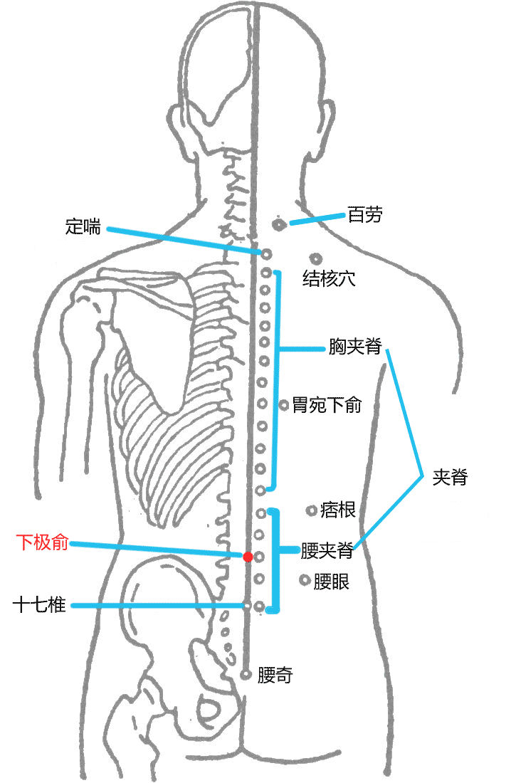 下极俞的准确位置图片图片