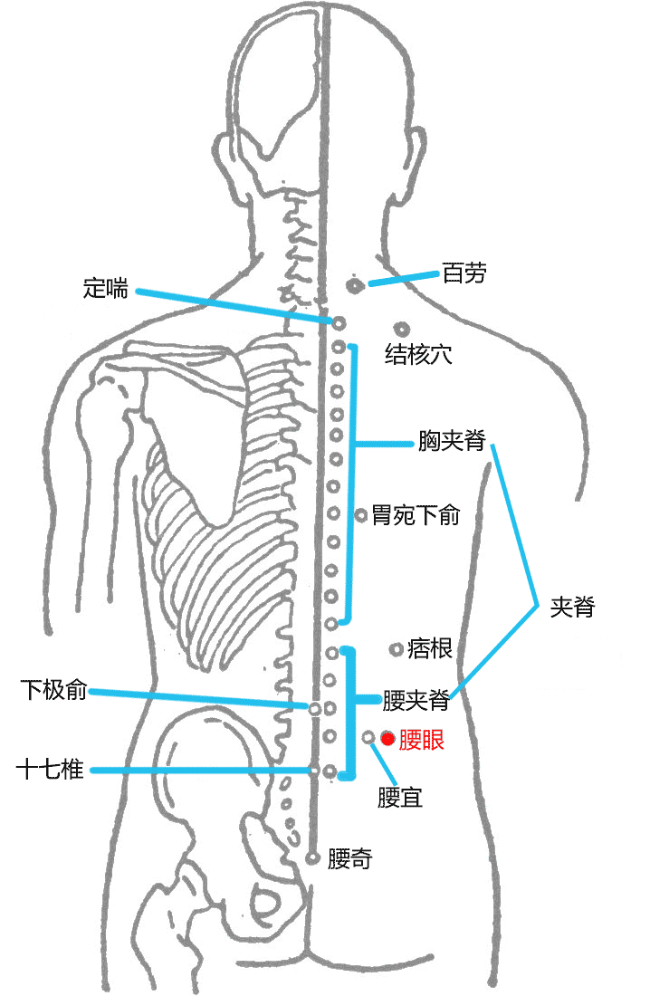 腰眼穴